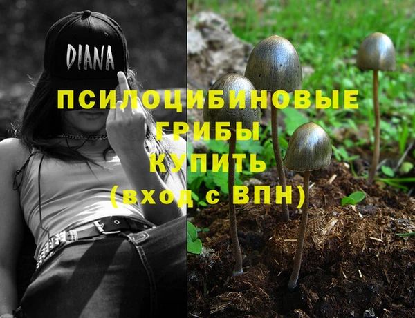 дмт Абдулино