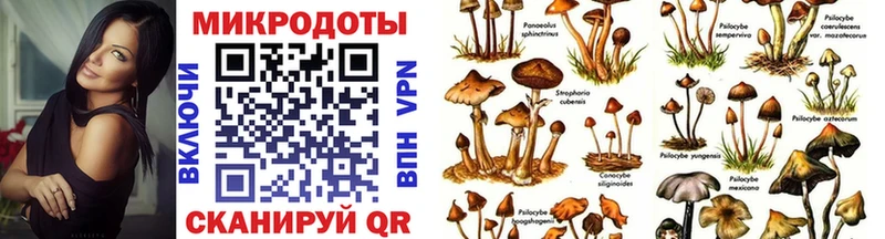 Псилоцибиновые грибы Cubensis купить сайты blacksprut Туран